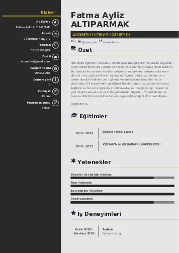 Matematik Öğretmeni Cv Örnekleri cv indir
